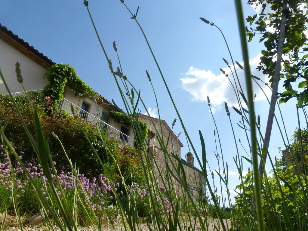 Hostal Casarciccia Todi Habitación foto
