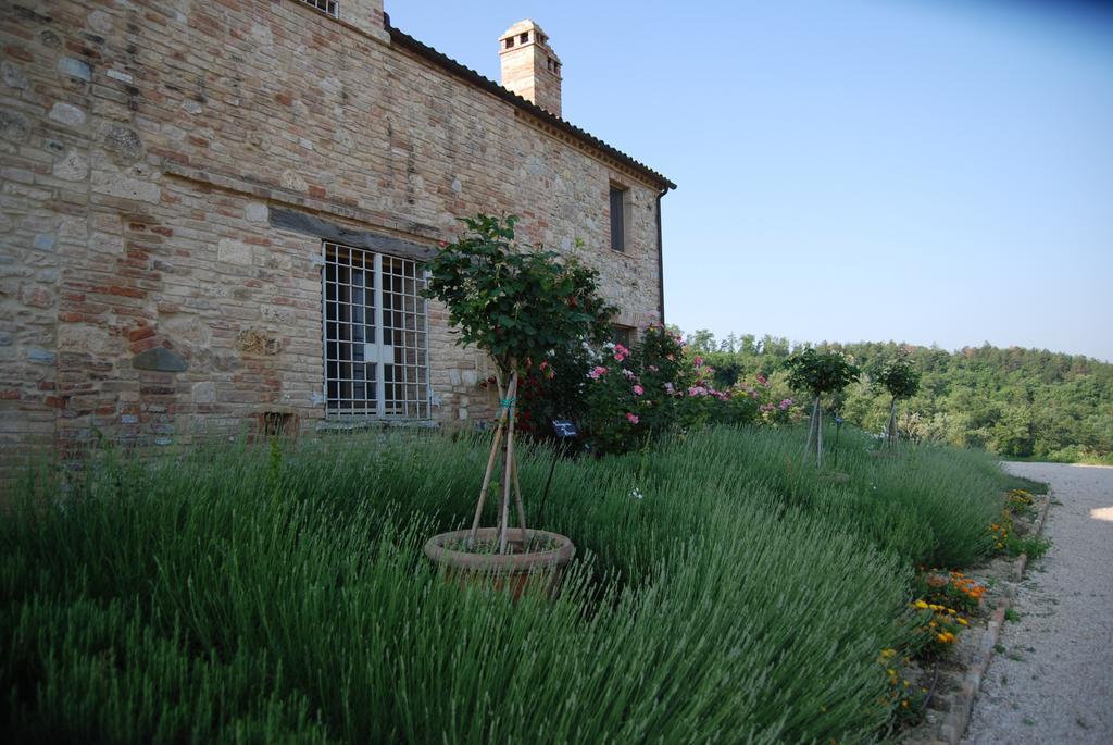 Hostal Casarciccia Todi Exterior foto